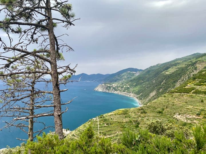 photo taken by ryan higdon IMG_4554_vrhsp0